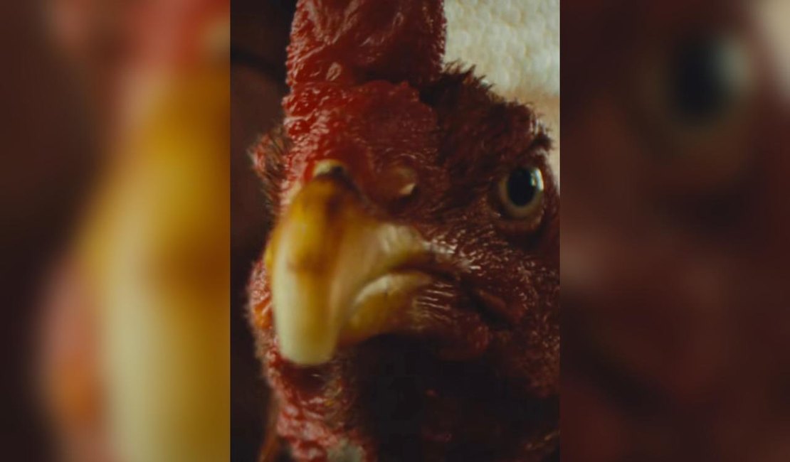 ‘Vídeo da galinha’; o sucesso da peça publicitária do governo Paulo Dantas que viralizou