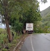 Caminhão colide em árvore e deixa preso às ferragens na AL-145, em Água Branca