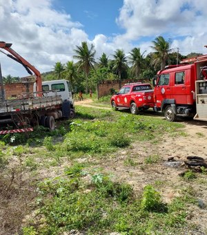 Vaca é salva pelo Corpo de Bombeiros após cair em fossa na Vila Primavera, em Penedo