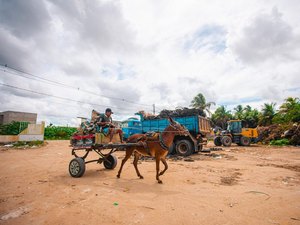Prefeitura de Arapiraca convoca carroceiros para realizar cadastro obrigatório