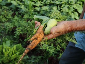 Governo libera 100% do orçamento para o seguro rural