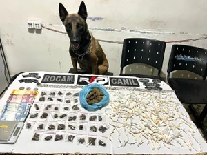 Traficante é preso no Alto do Cruzeiro com a ajuda de cão farejador