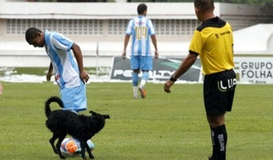 PARAENSE: Cachorro impede gol, e clássico termina empatado