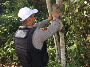 Animal é resgatado durante patrulha do BPTran