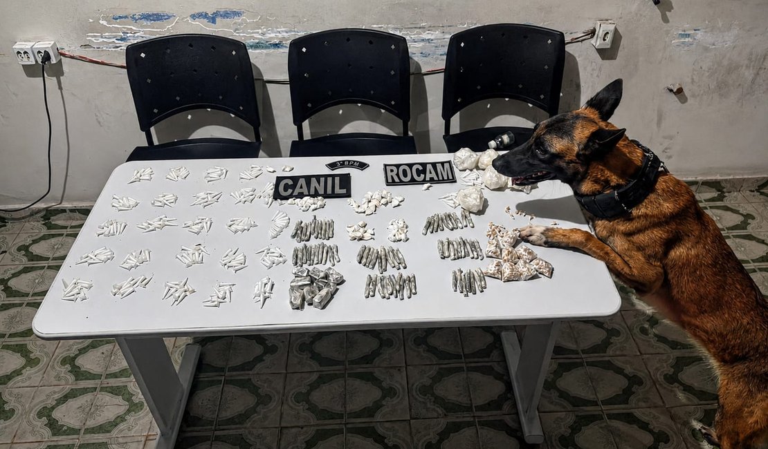 Mulher é presa por armazenar grande quantidade de drogas na zona rural de Arapiraca