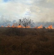 Incêndio em vegetação assusta moradores de povoado em Coité do Nóia
