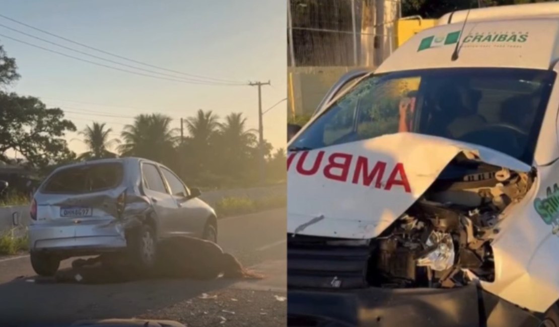 Cavalo solto na pista causa colisão em sequência e deixa três feridos na AL-220