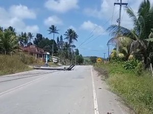[Vídeo] Árvore e poste de energia desabam na AL 460, em Porto de Pedras