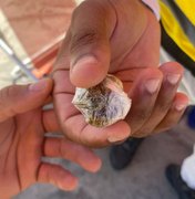 Videomonitoramento da SSP flagra jovem com drogas no Marco dos Corais