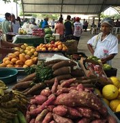 Feira da Reforma Agrária faz parte da política de segurança alimentar em AL