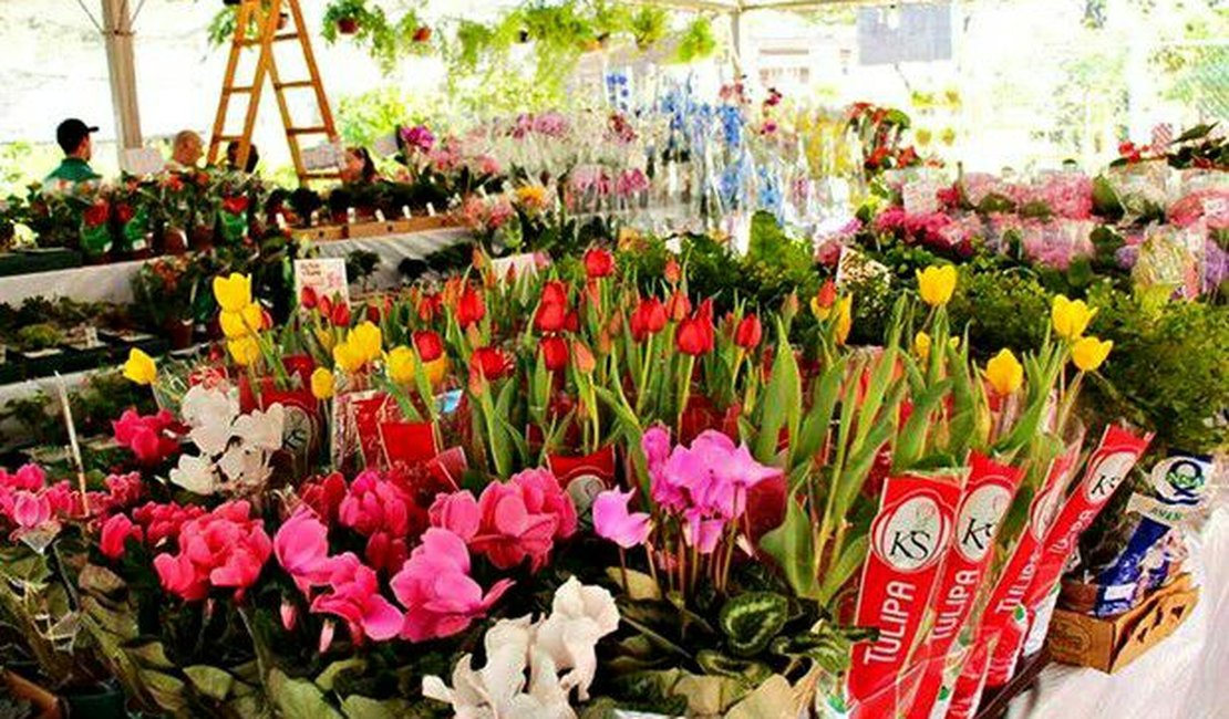 Festival das Flores de Holambra chega a Maceió nesta quinta-feira (27)