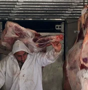 Exportação brasileira de carne bovina sobe 24% no 1º semestre