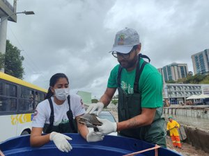 MP reúne entidades para discutir plano de manejo de fauna no Riacho Salgadinho