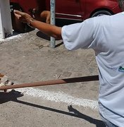 Pedestres são mordidos por pitbull em Arapiraca e Centro Zoonoses é acionado