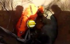  Bombeiros resgatam égua de dentro de poço em Porto Calvo