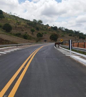 Governo de Alagoas inaugura alça viária em Joaquim Gomes