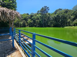 Conferência Intermunicipal de Meio Ambiente acontece nesta segunda (25)