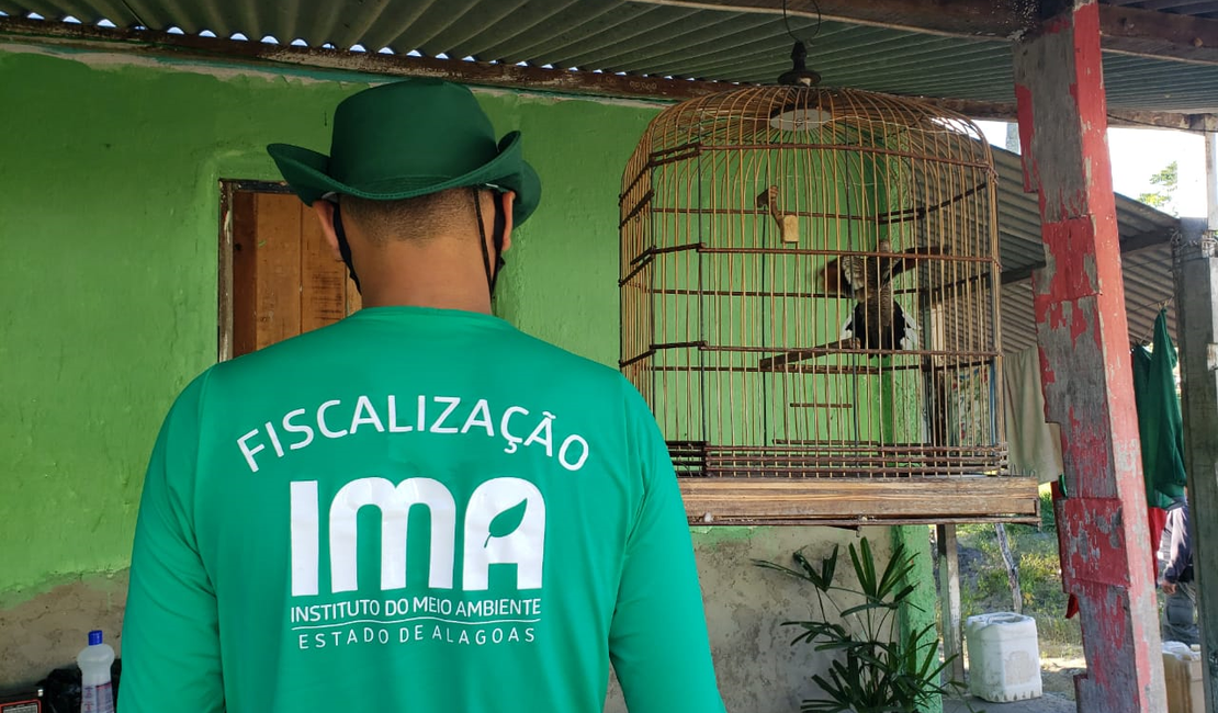 IMA apreende 290 aves e aplica R$ 141 mil em multas na APA de Murici