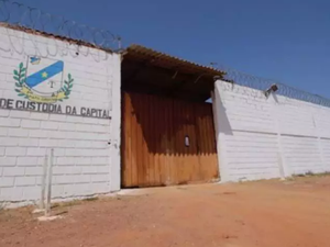 Homem usa escada para fugir de presídio e vizinho avisa agentes