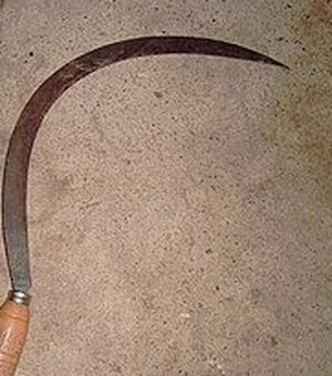 Homem é ferido com golpe de foice após discussão sobre maus-tratos a cachorro em Rio Largo