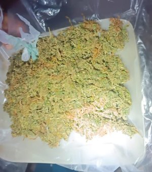 PM apreende adolescente por furto e detém suspeito com drogas no Sertão