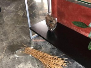 [Vídeo] Voo rasante do helicóptero da SSP assusta moradores em Maceió