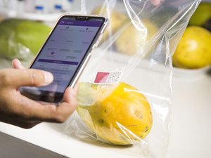 Embrapa desenvolve sensor que avalia grau de maturação de frutas