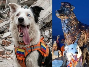 Cão que resgatou vítimas de terremoto na Venezuela ganha estátua