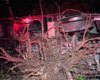 Caminhão tomba e derruba árvore na BR-101 em Colônia Leopoldina