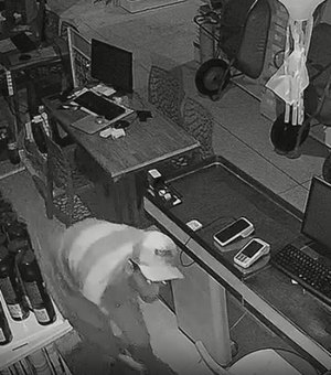 R$30 mil de prejuízo: Homem invade loja de construção e furta celulares no bairro Ouro Preto em Maceió