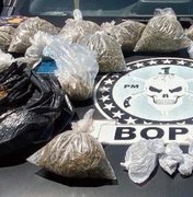 Ação da PM apreende mais de três quilos de maconha na Ponta Grossa