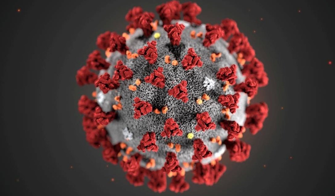 Coronavírus se “esconde” no corpo, explica professor da USP