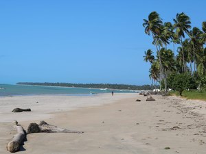 Praia de Peroba encanta turistas e moradores de Maragogi