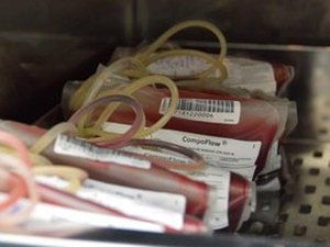 Atenção alagoanos: Hemoal necessita de doações de sangue para o Carnaval