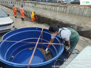 MP recomenda paralisação imediata das obras do Renasce Salgadinho para proteger animais