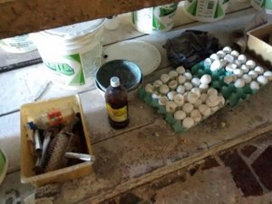 Fábrica de bolachas é interditada pela Vigilância Sanitária em Maceió