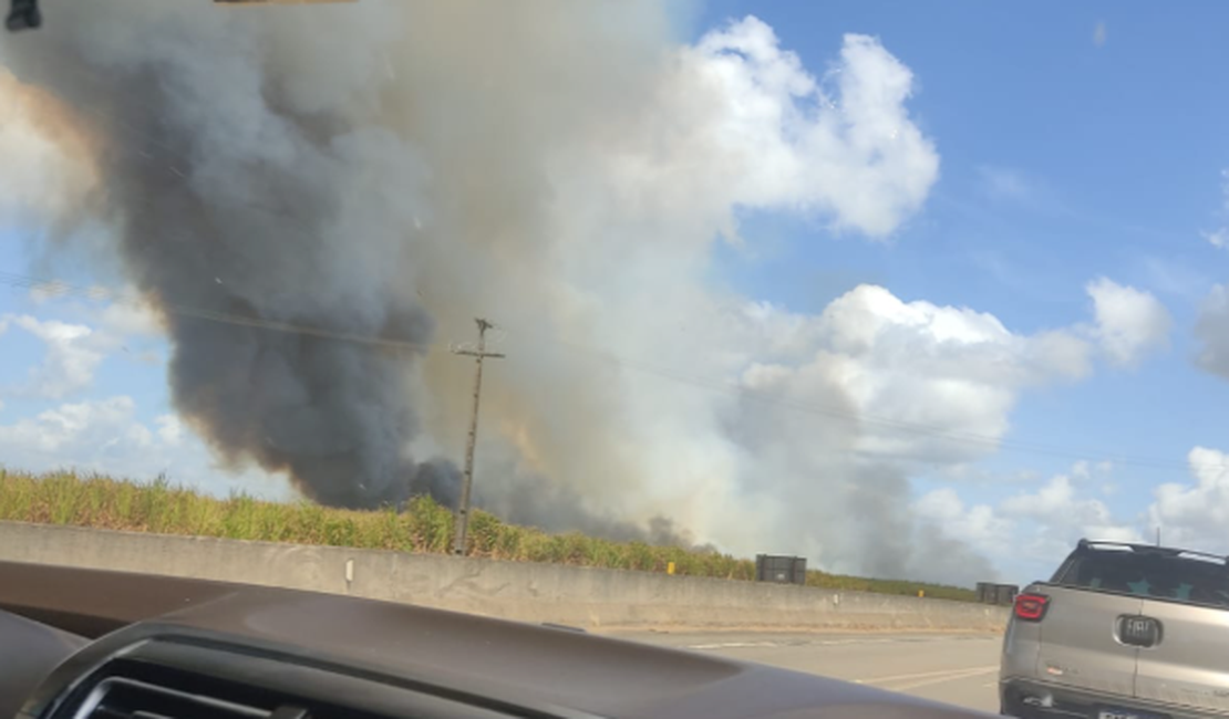 Incêndio em vegetação deixa Arapiraca parcialmente coberta por fumaça