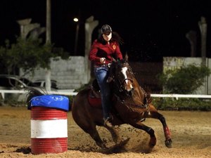 3ª edição do Alagoas Quarter Horse apresenta animais nesta quarta