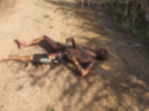 Cadáver é encontrado carbonizado na zona rural de Murici