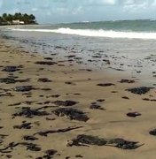 Polícia Federal investiga origem de manchas de óleo em praias do Nordeste