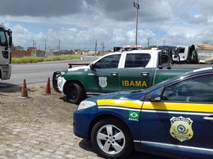 PRF realiza operação integrada com o Ibama para para fiscalizar transportes de carga