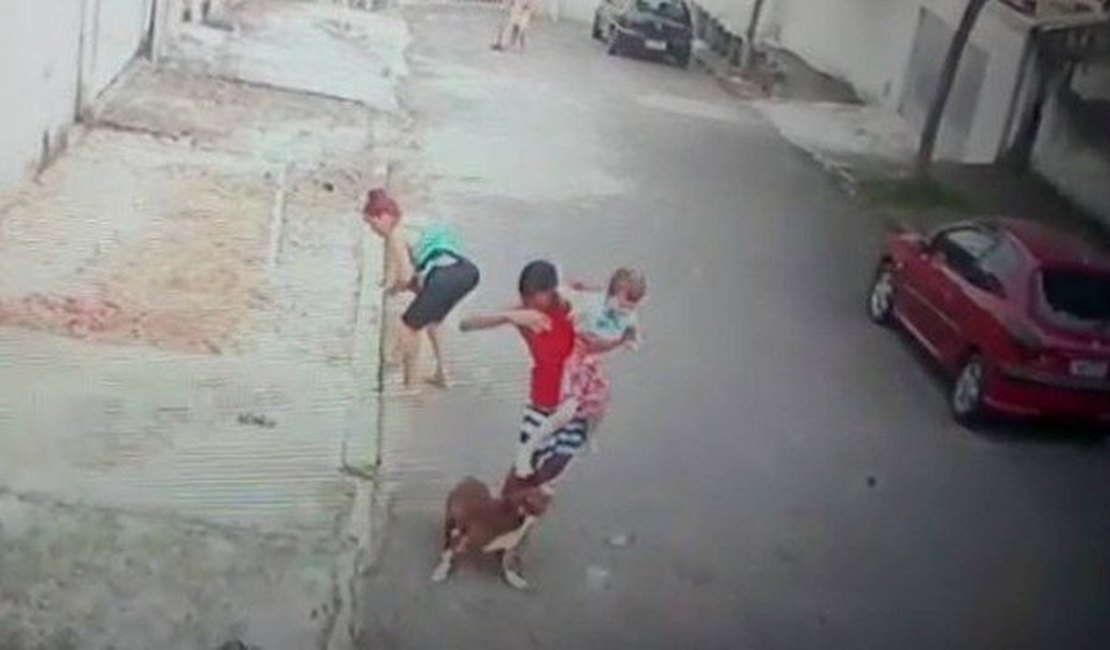 Vídeo: Jovem salva criança de ataque de pitbull no Rio de Janeiro