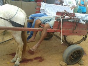 [VÍDEO] Irmãos são executados a tiros na zona rural de Coité do Noia