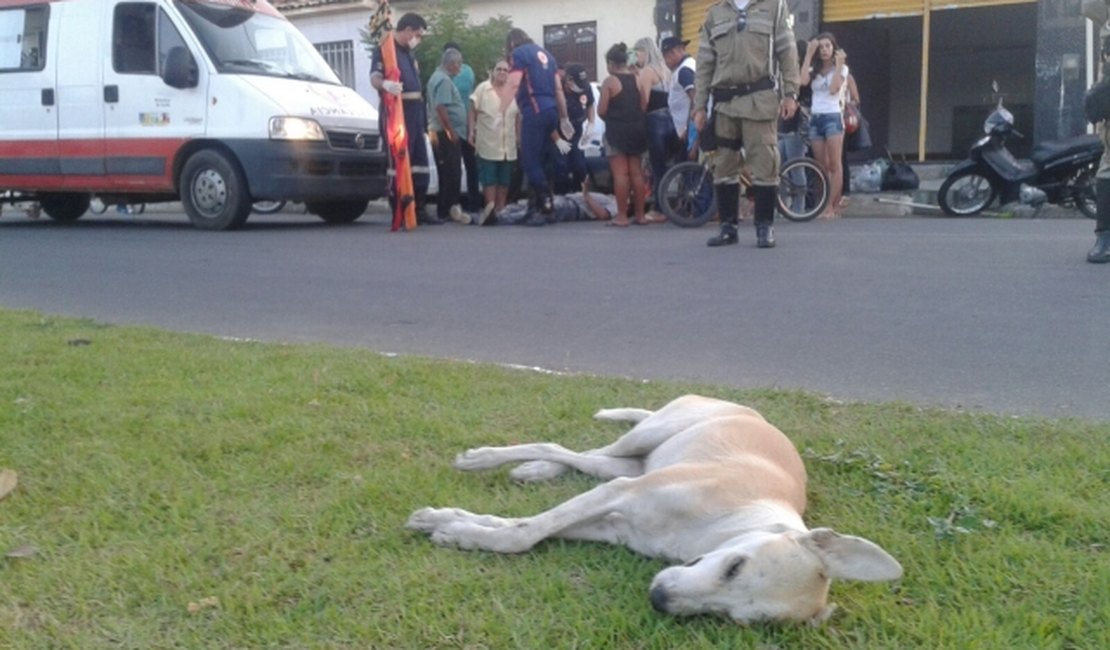 Moto colide em cachorro no centro e condutor tem ferimentos leves