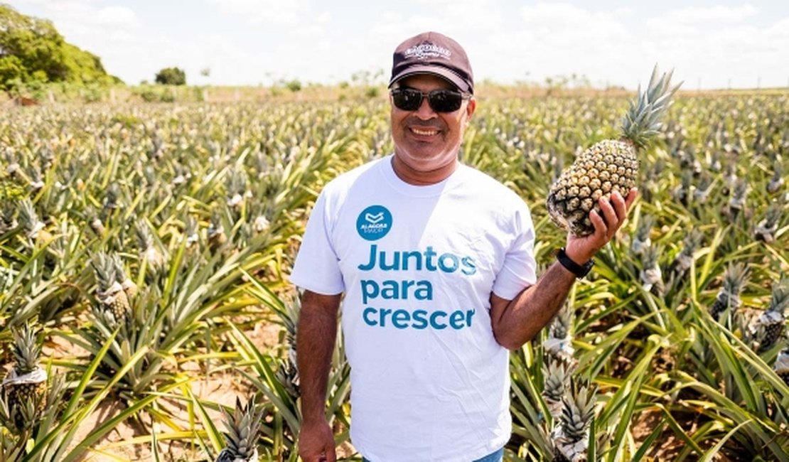 De abacaxis a pães: produtores transformam realidade através do empreendedorismo