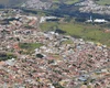Mais de 30 animais de rua foram mortos, denuncia prefeitura de Ouro Preto
