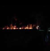 Incêndio em sítio assusta moradores de Japaratinga