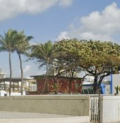 MPF cobra avanços da Braskem na recuperação de áreas de manguezal impactadas pela exploração de sal-gema em Maceió