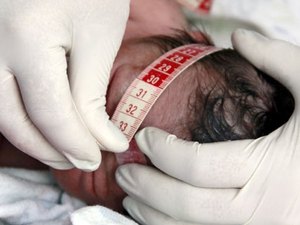 Quatro casos já foram registrados em Arapiraca