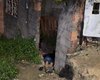 Jovem é arrastado por grupo encapuzado e é executado em grota de Maceió